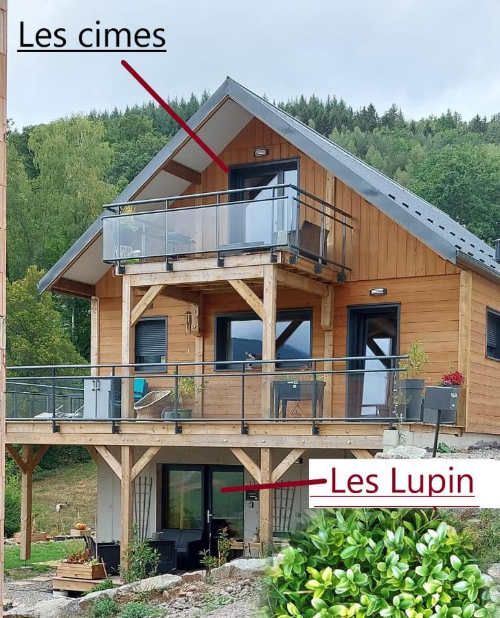 Au Chalet De Jo Muhlbach-sur-Munster Exterior foto
